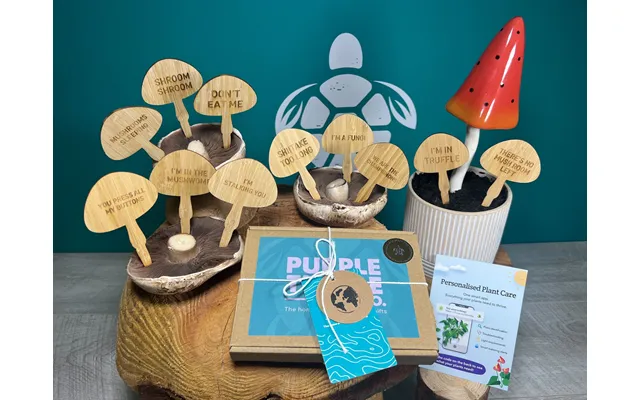 Mushroom Plant Stakes Gift Set