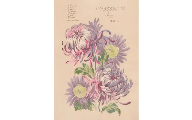 No.107 - Connie Blooms 1905