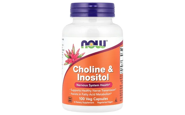 Now Foods Choline & Inositol 500 Mg - 100 Caps