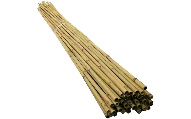 One Piece 5ft Bamboo Cane 150 Cm