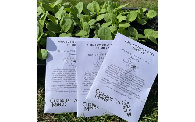 Pack Of Bee Friendly Wild Flower Seeds