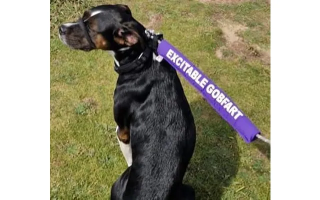 Personalised Dog Lead Sleeve - Red White