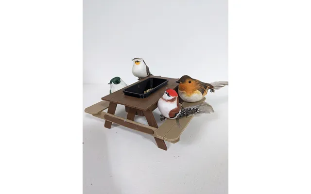 Picnic Table Bird Feeder Fly-thru Station - Indoor Aviary Or Outdoor Use