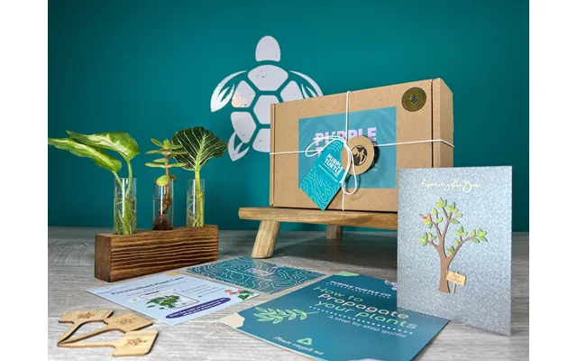 Plant Propagation Gift Set 6