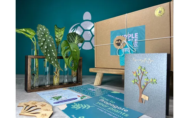 Plant Propagation Gift Set 7