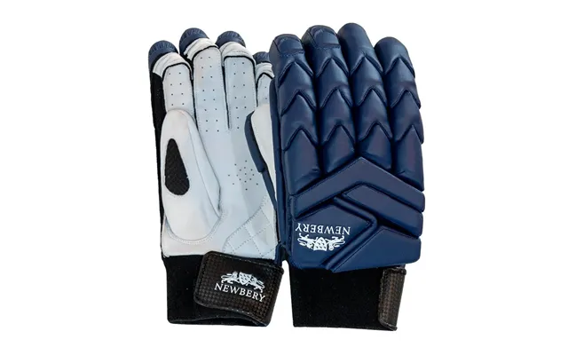 Player Cricket Batting Gloves - Navy Blue