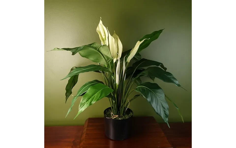 Premium Artificial Peace Lily Lifelike White Spathiphyllum - Perfect Indoor Decor