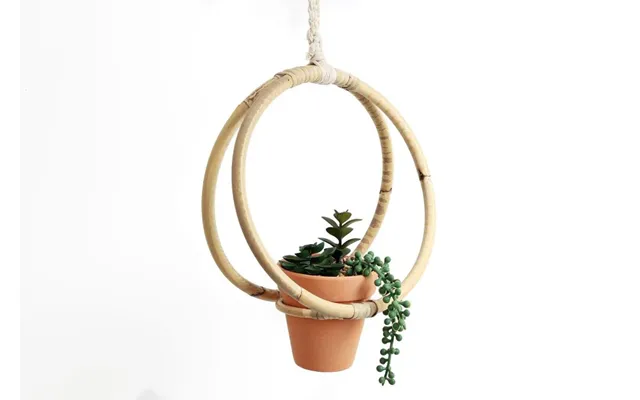 Premium Faux Succulent Lifelike - Durable