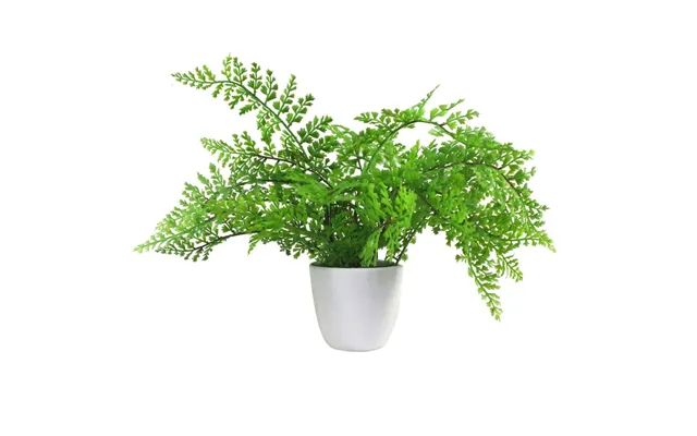 Premium Quality 30cm Artificial Potted Royal Fern product image