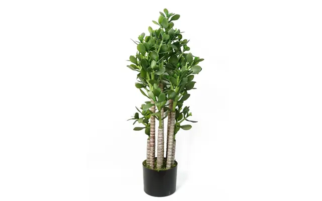 Premium Replica 75cm Green Jade Plant - Realistic And Stylish product image