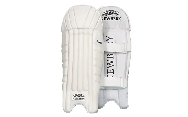 Pro Cricket Wicket-keeping Pads - Large Senior Xos