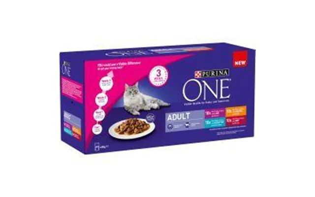 Purina One Adult Mini Fillets Mixed 40pk