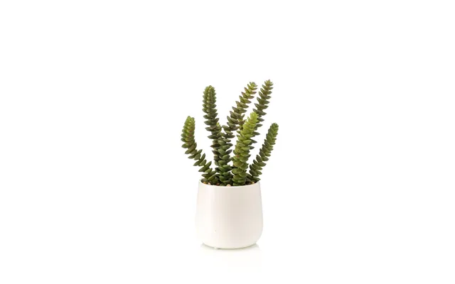 Realistic Artificial Crassula Potted Plant - Green Foliage