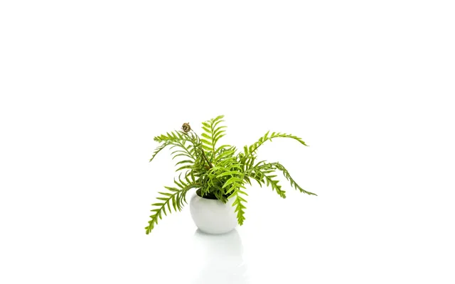 Realistic Artificial Nephrolepis Fern 16cm - Green Potted Plant