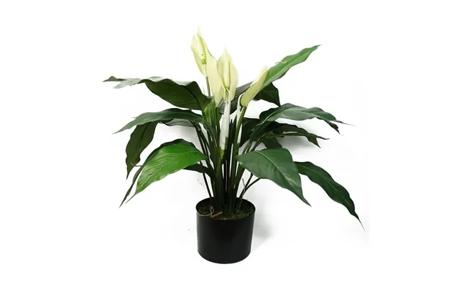 Realistic Artificial Peace Lily - White Spathiphyllum product image