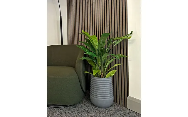 Realistic Asplenium Fern Potted Plant - Beautiful Green Décor