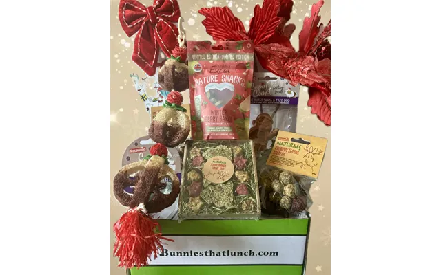 Silver Bunny Christmas Special Box