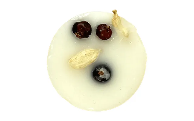 Single Packaged Wax Melts - Norfolk Gin