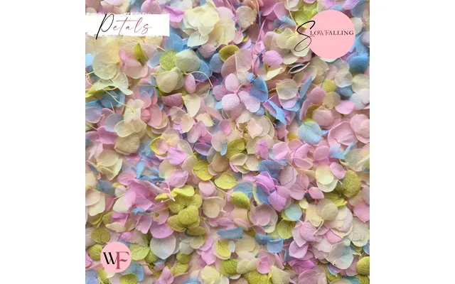 Snow Petal Confetti - Pastel Party