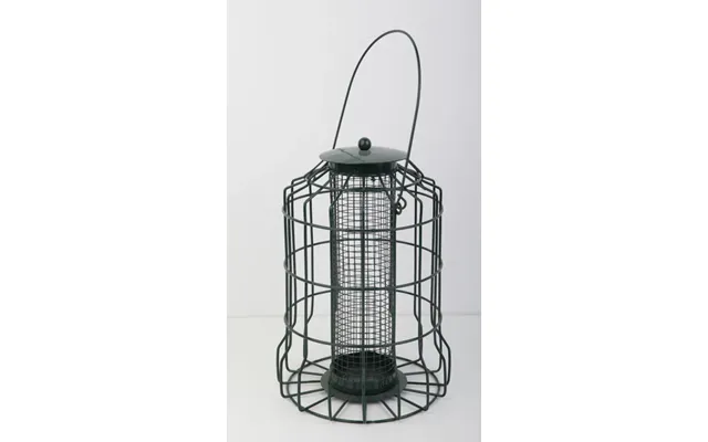 Squirrel Proof Bird Feeder Set Of 2