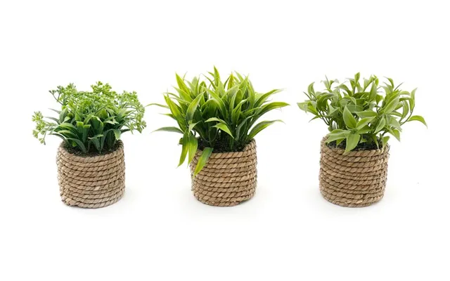 Stylish Rope Effect Pots With Artificial Succulents - Set Of 3