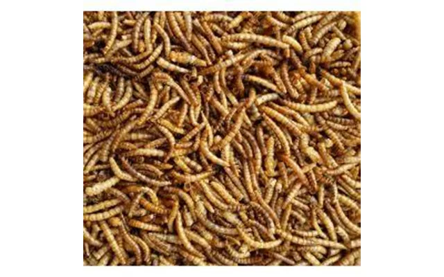 Supa Dried Mealworms - 12.55kg