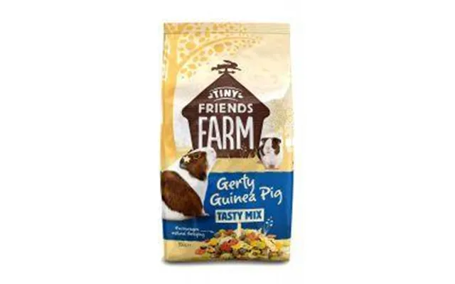 Tiny Friends Farm Gerty Guinea Pig Tasty Mix - 2.5kg
