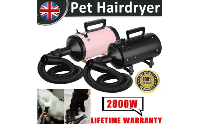 Vickyhome Motorcycle Car Bike Vechicle Power Dryer - Portable Blower & Blaster Pet Dog Grooming Dryer- Dry And Dust,blac