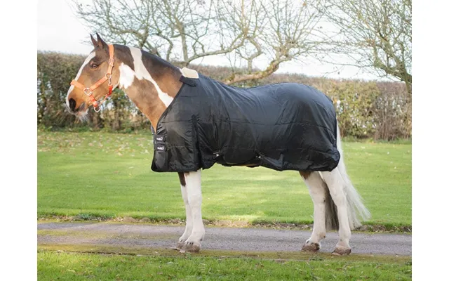 Wide Fit 200g Horse Rug Liner - 7'0 Wf