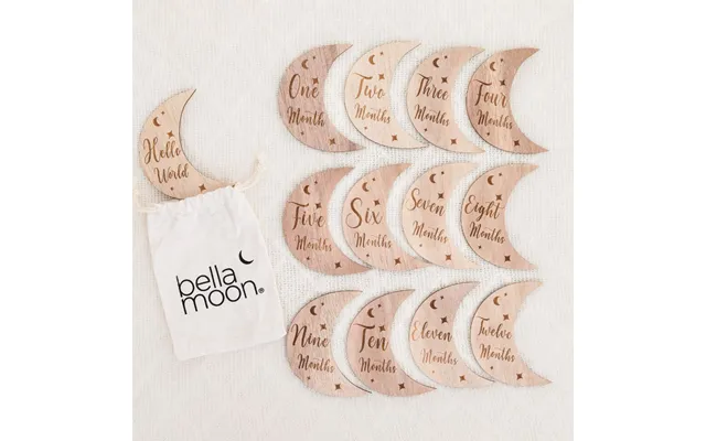 Wooden Month-by-month Baby Milestone Set