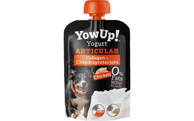 Yowup Dog Yogurt Articular 115g X 10