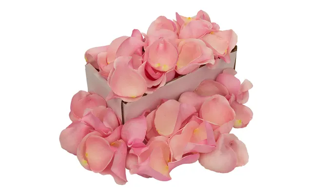 1 Box Of Pink Rose Petals