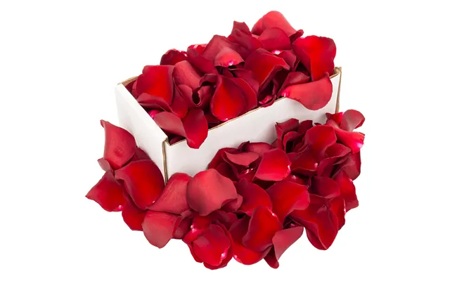 1 Box Of Red Rose Petals