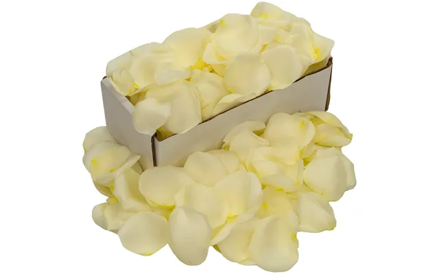 1 Box Of White Rose Petals