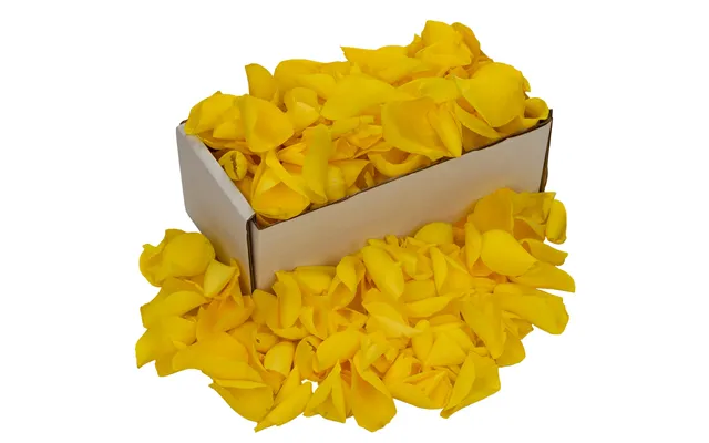 1 Box Of Yellow Rose Petals