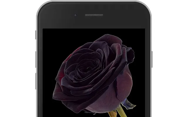 Black E-rose