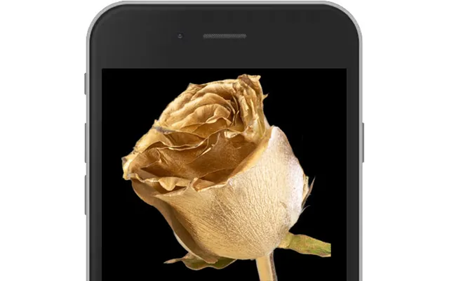 Gold E-rose