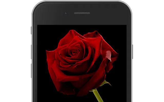 Red E-rose