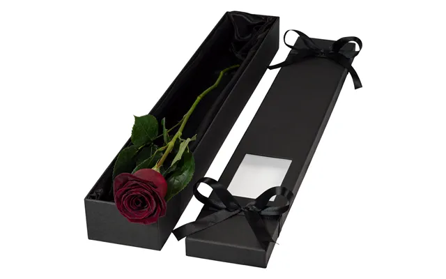 Single Extra Long Luxury Black Baccara Rose
