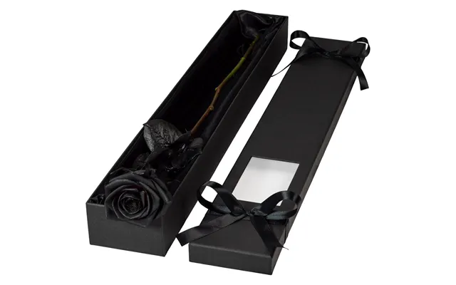 Single Extra Long Luxury Black Rose