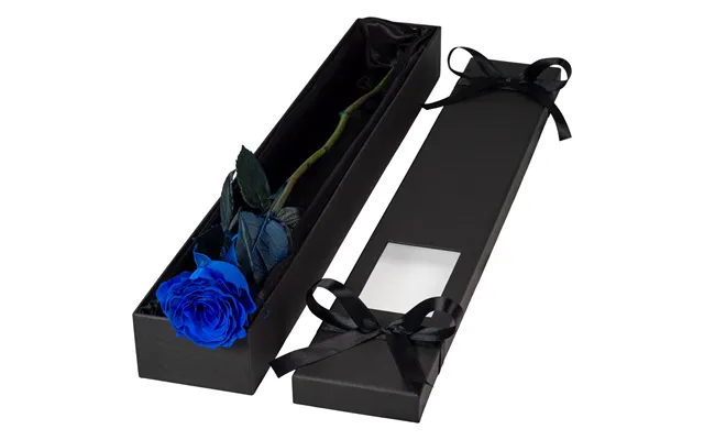 Single Extra Long Luxury Blue Rose