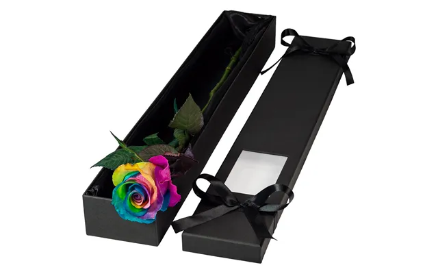 Single Extra Long Luxury Happy Rainbow Rose