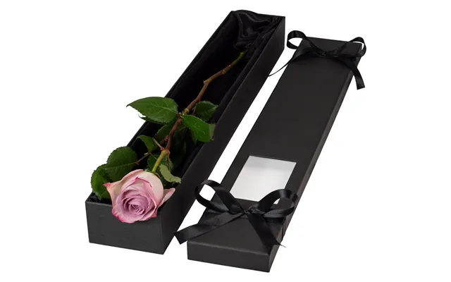 Single Extra Long Luxury Lilac Rose