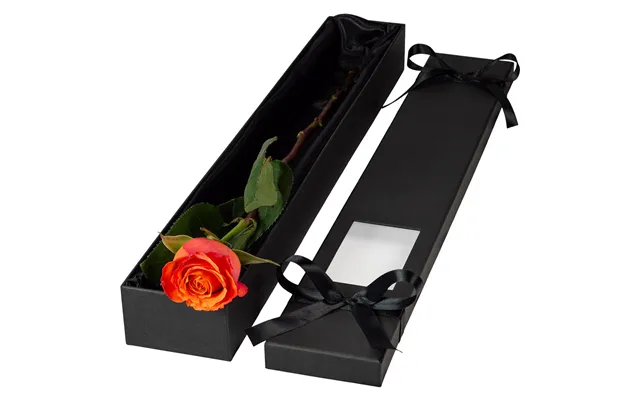 Single Extra Long Luxury Orange Rose
