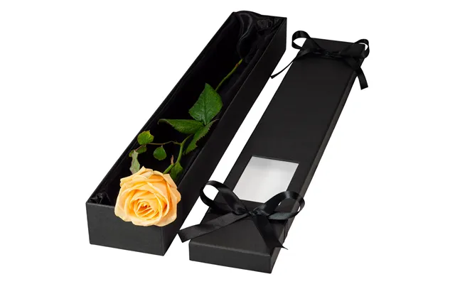 Single Extra Long Luxury Peach Rose