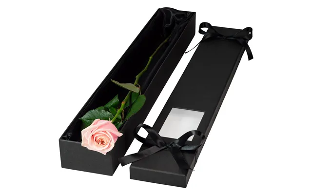 Single Extra Long Luxury Pink Rose