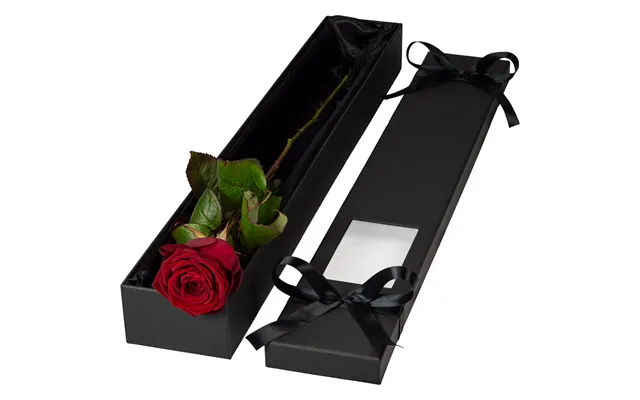 Single Extra Long Luxury Red Rose