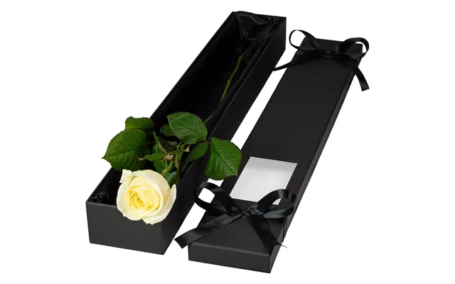 Single Extra Long Luxury White Rose