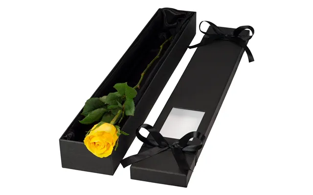 Single Extra Long Luxury Yellow Rose