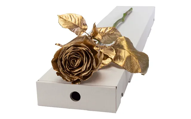 Single Letterbox Gold Rose